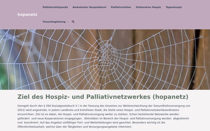 Screenshot of hopanetz.de