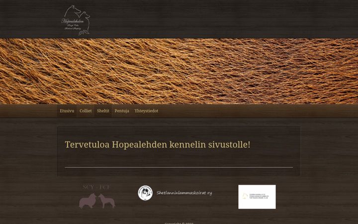 Screenshot of hopealehden.fi