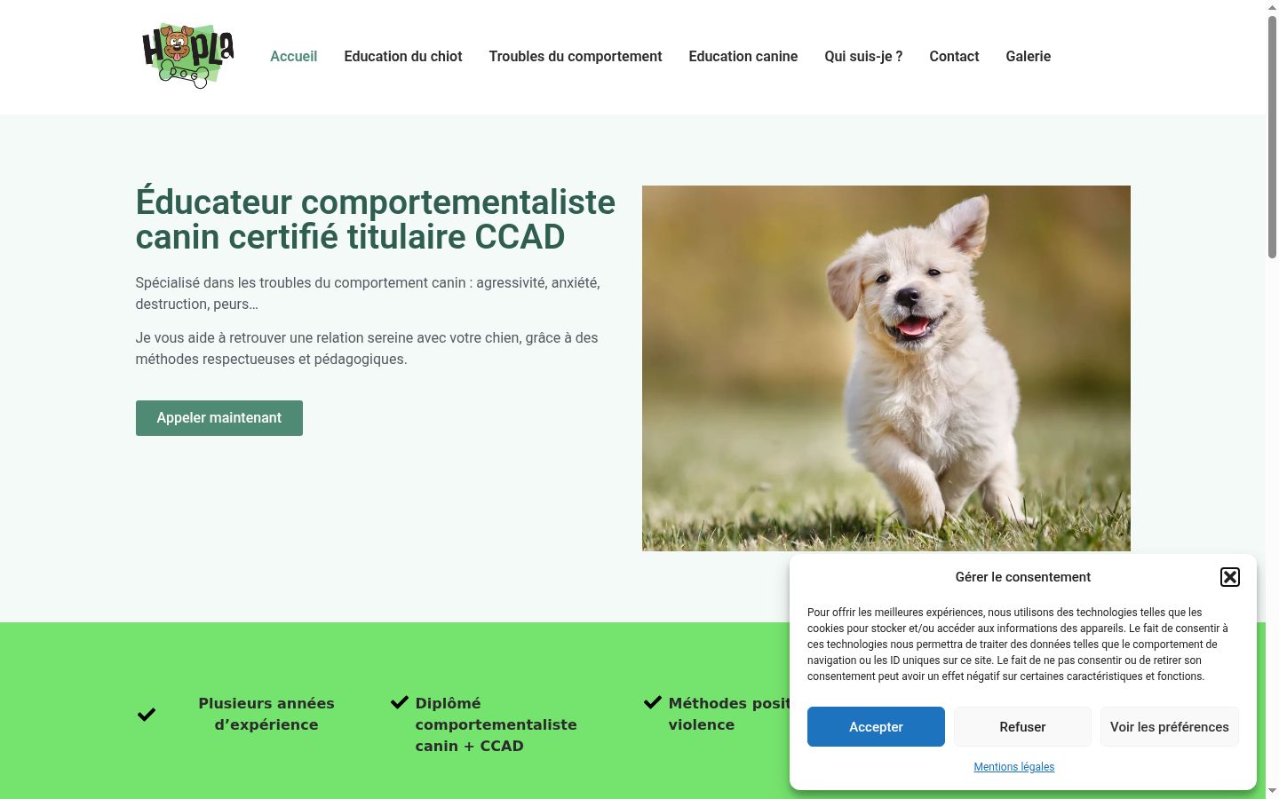 Screenshot des Einwilligungsbanners vor jeglicher Interaktion