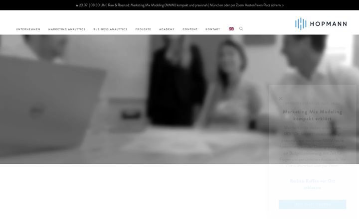Screenshot of hopmann.com