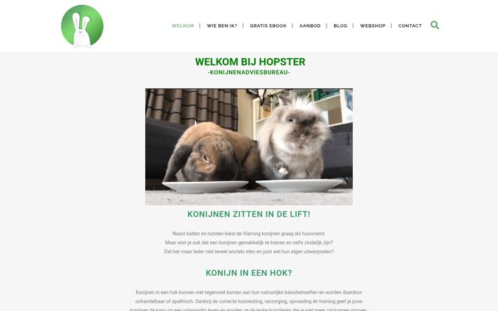 Screenshot of hopster.be