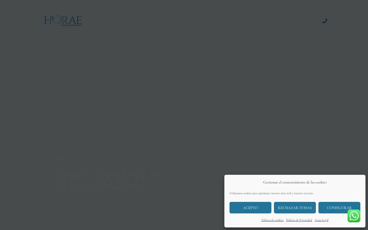 Screenshot of horae.es