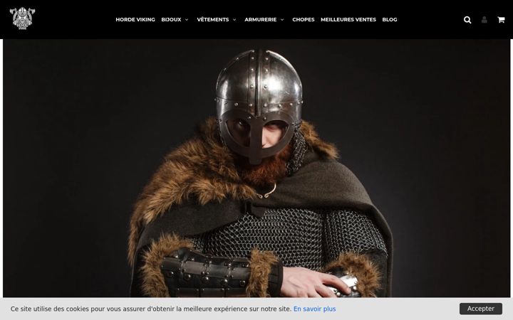 Screenshot of horde-viking.com