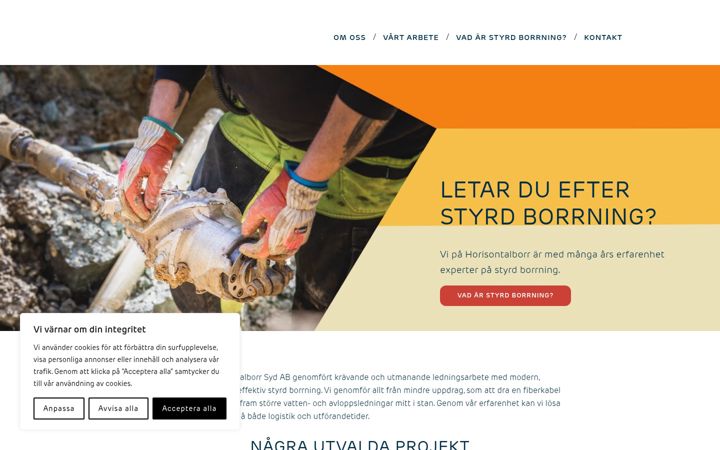 Screenshot of horisontalborr.se