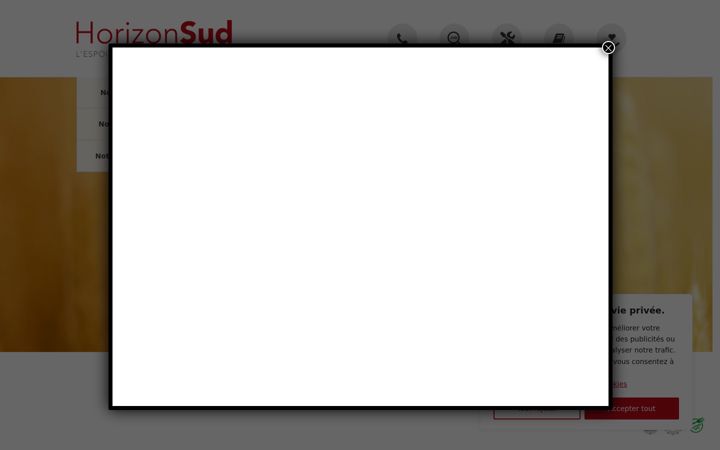 Screenshot of horizonsud.ch