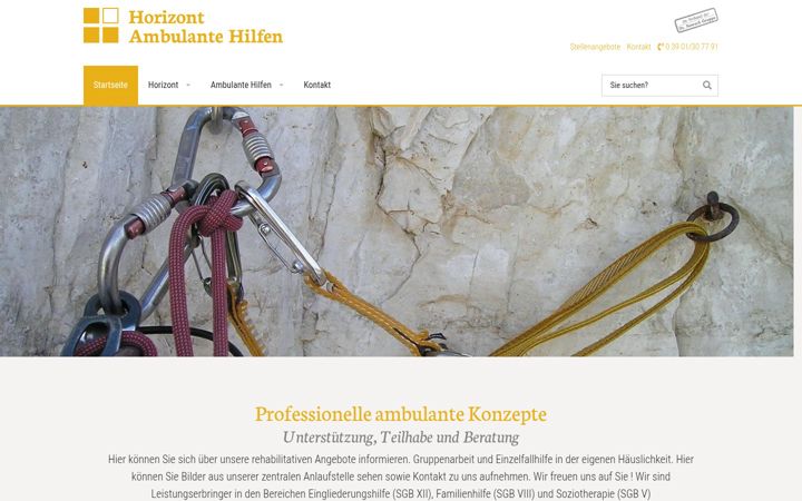 Screenshot of horizont-saw.de