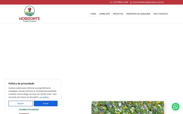 Screenshot of horizontefloreseplantas.com.br