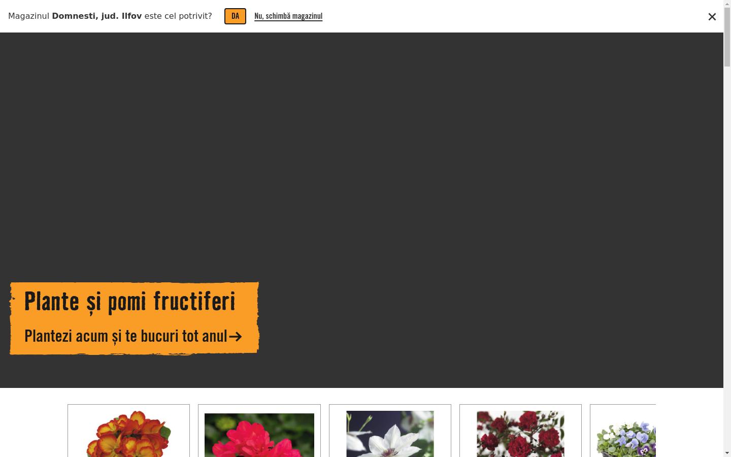 Screenshot of hornbach.ro