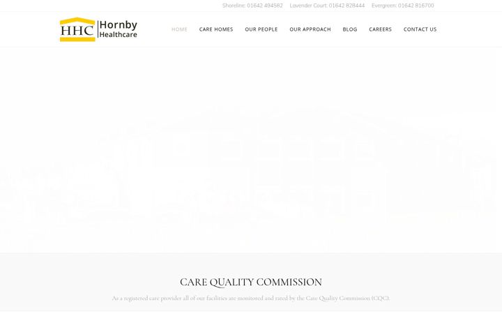 Screenshot of hornbyhealthcare.co.uk
