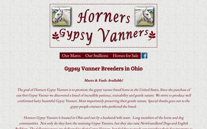 Screenshot of hornersgypsyvanners.com
