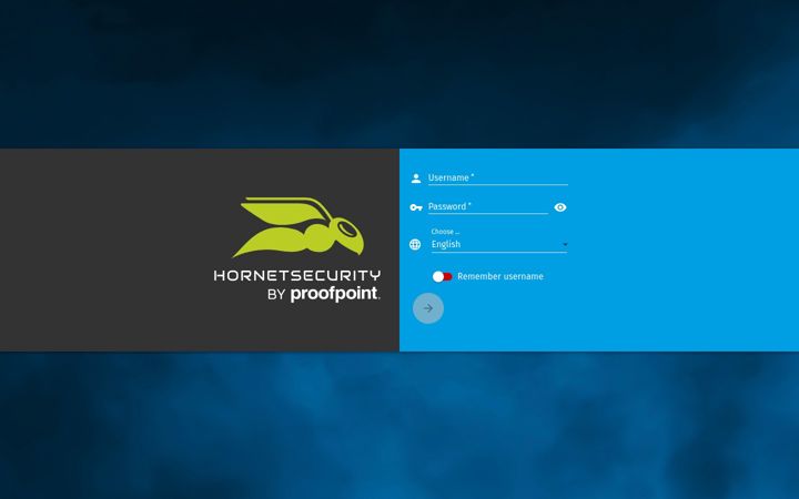 Captura de pantalla de hornet.email