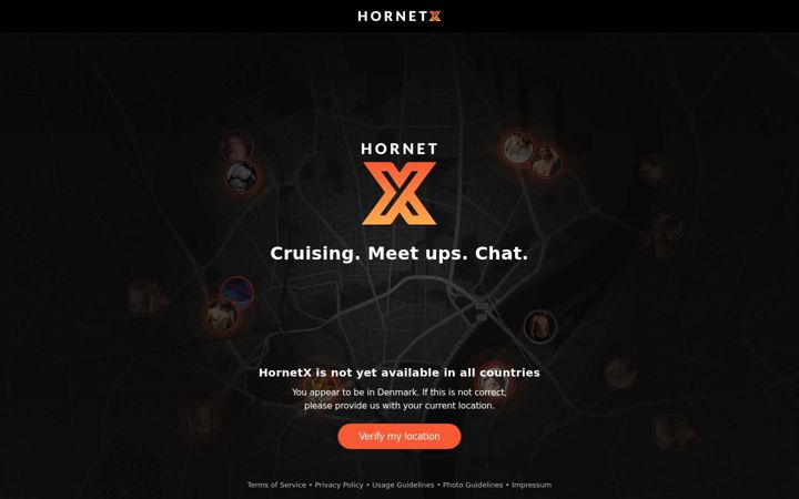 Screenshot of hornetx.com