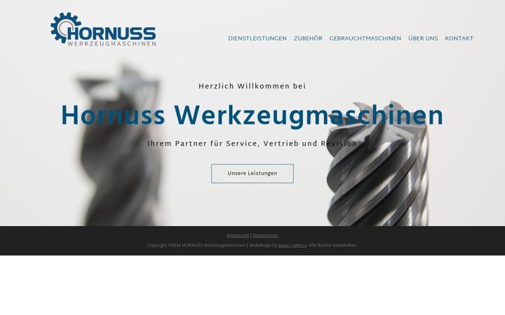 Screenshot of hornuss.de