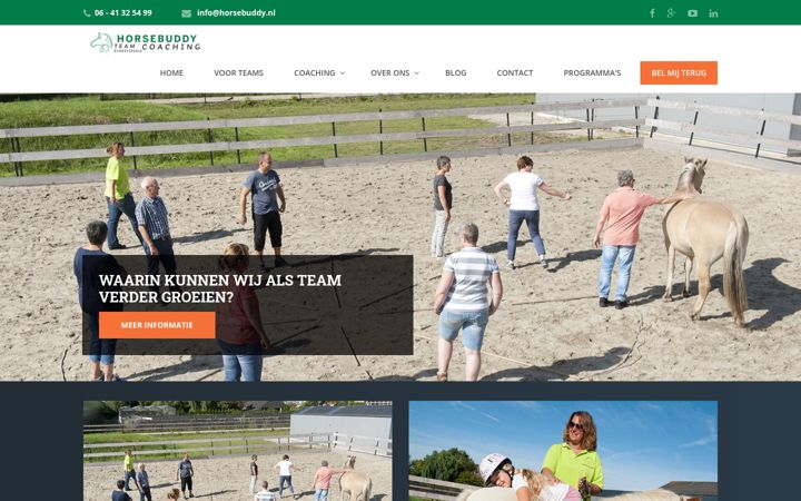 Screenshot of horsebuddy.nl