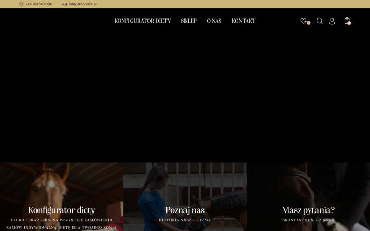 Screenshot of horsefit.pl