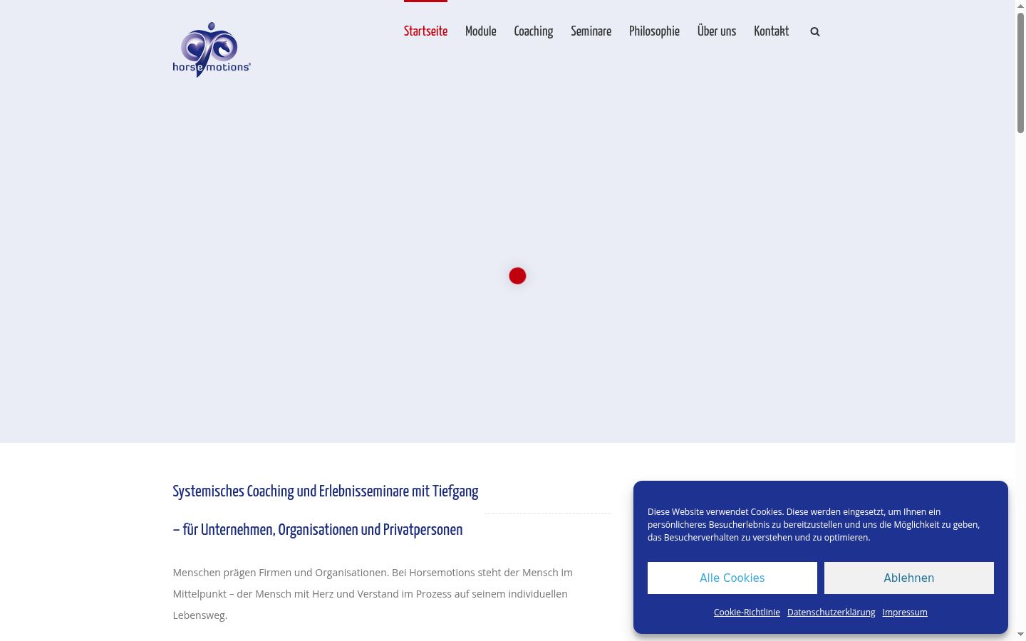 Screenshot van de toestemmingsbanner zoals getoond vóór enige interactie