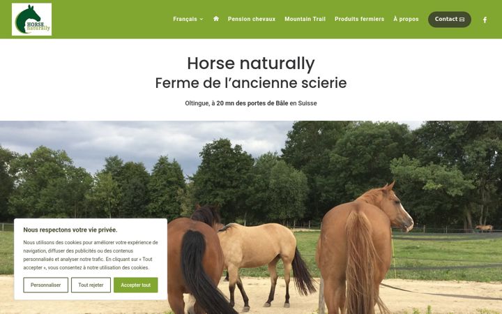Screenshot of horsenaturally.com