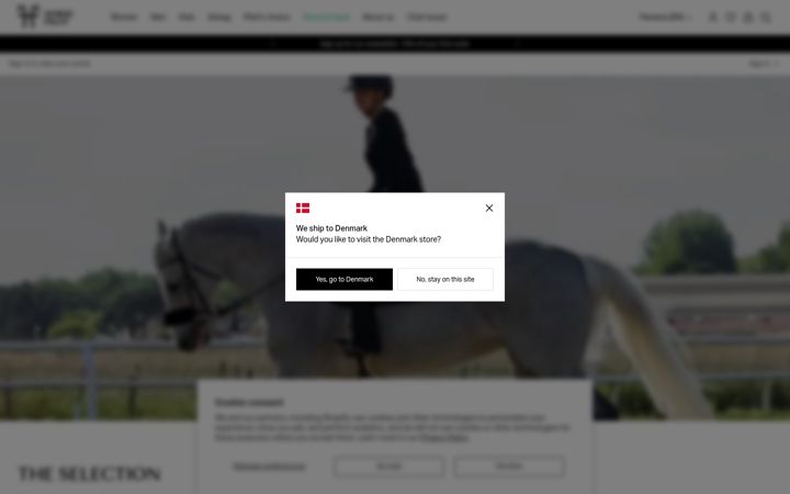 Screenshot of horsepilot.com
