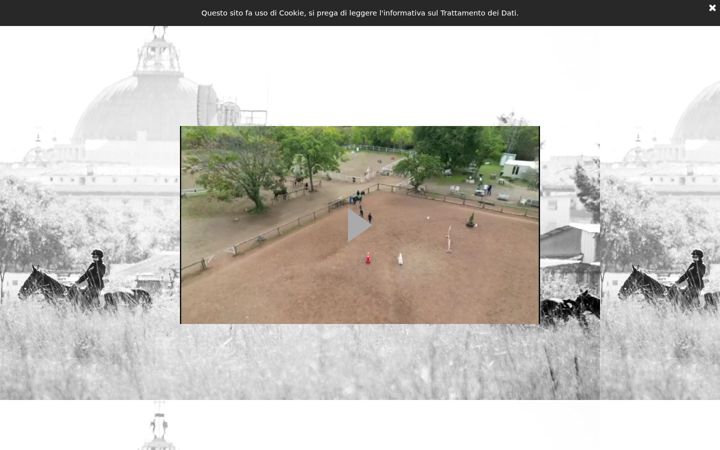 Screenshot of horsesandangels.it