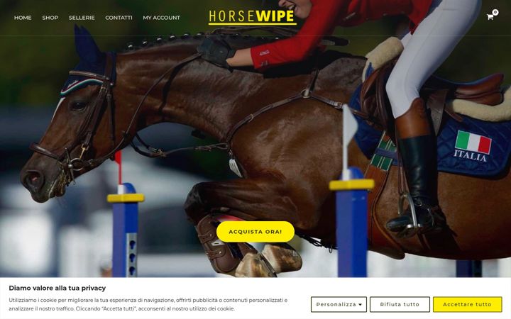 Screenshot of horsewipe.com