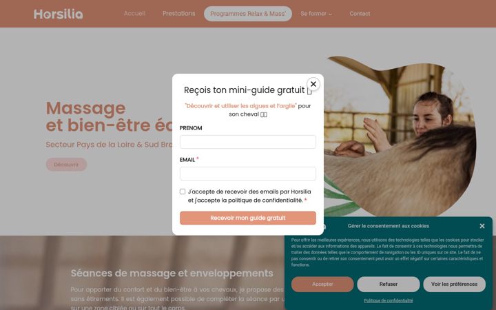 Screenshot of horsilia.fr