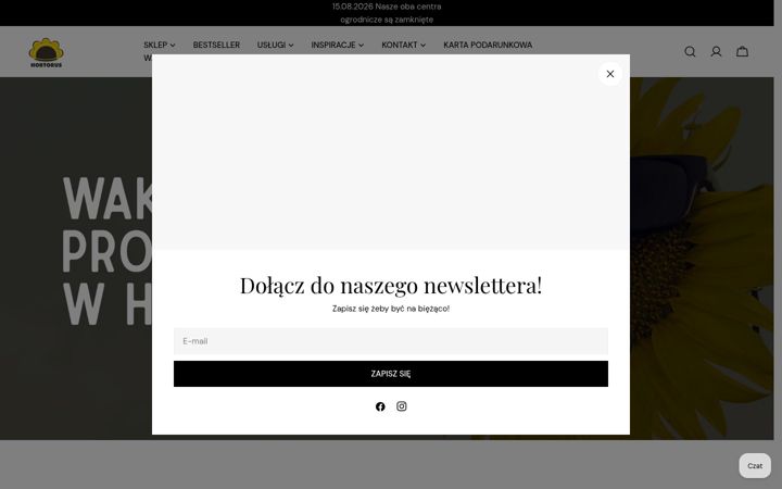 Screenshot of hortorus.pl