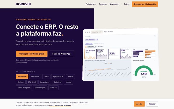 Screenshot of horusbi.com.br