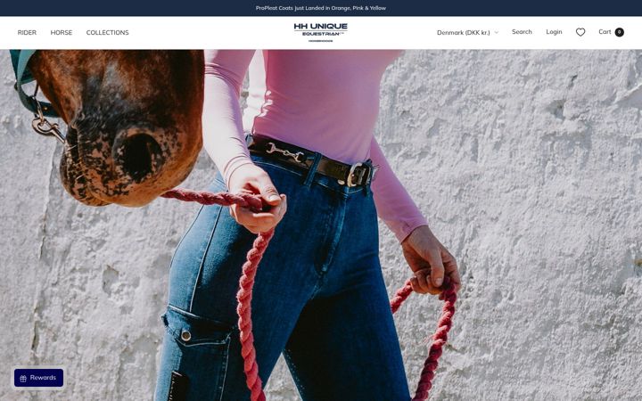 Screenshot of horzehoods.com