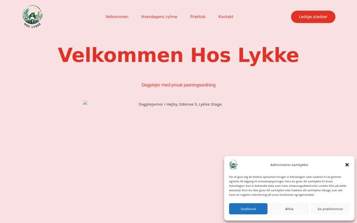 Screenshot of hoslykke.dk