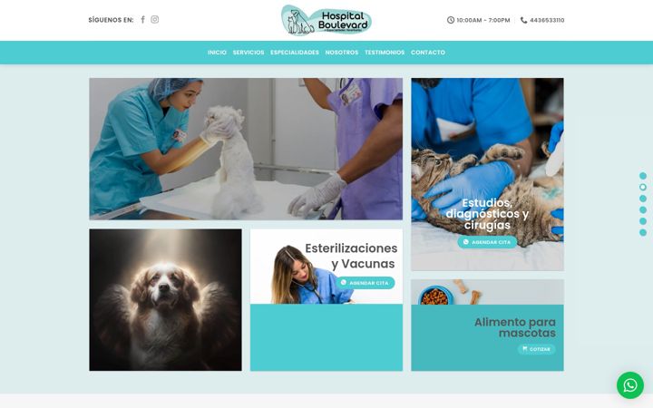 Screenshot of hospitalboulevard.com