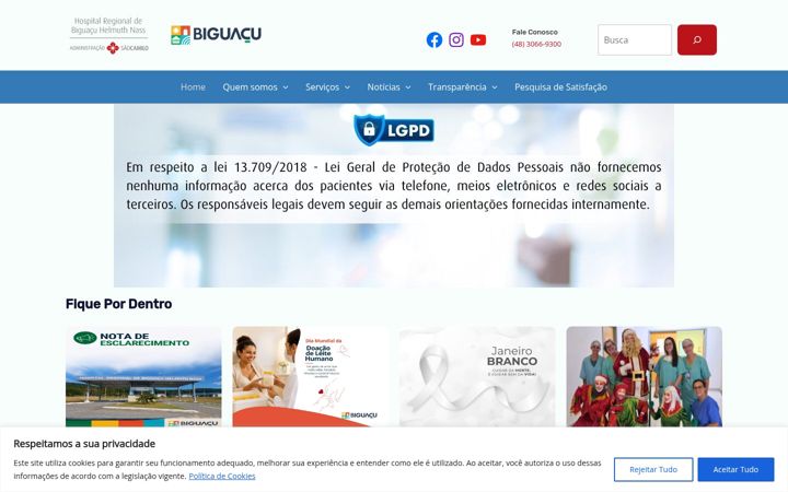 Screenshot of hospitalrhn.com.br