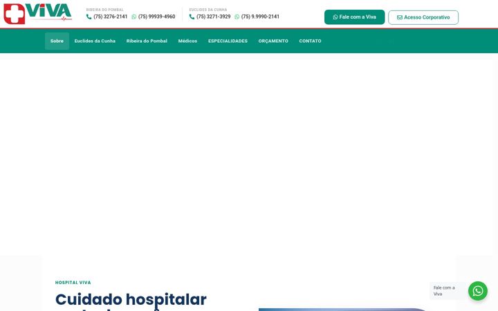 Screenshot of hospitalviva.com.br