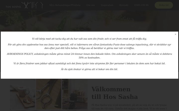 Screenshot of hossasha.com