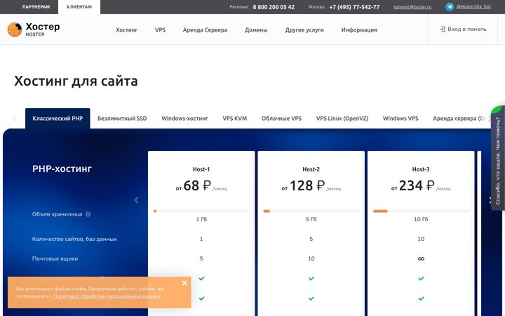Posnetek zaslona hoster.ru