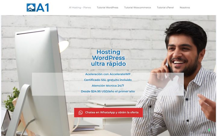 Screenshot of hostinga1.com