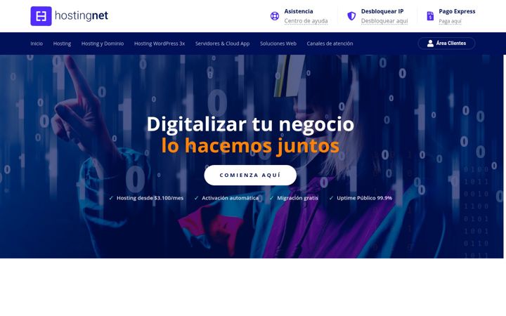 Screenshot of hostingnet.cl