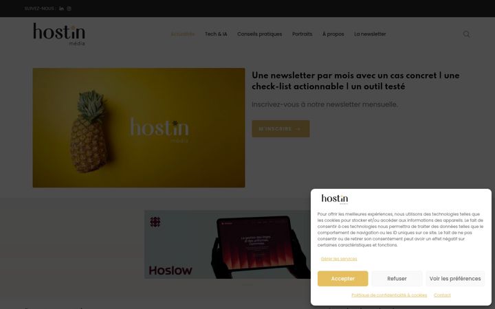 Screenshot of hostinmedia.fr