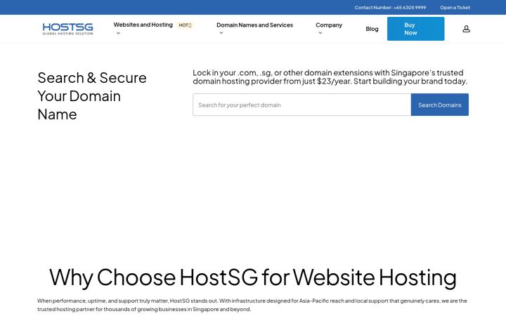 Képernyőkép: hostsg.com