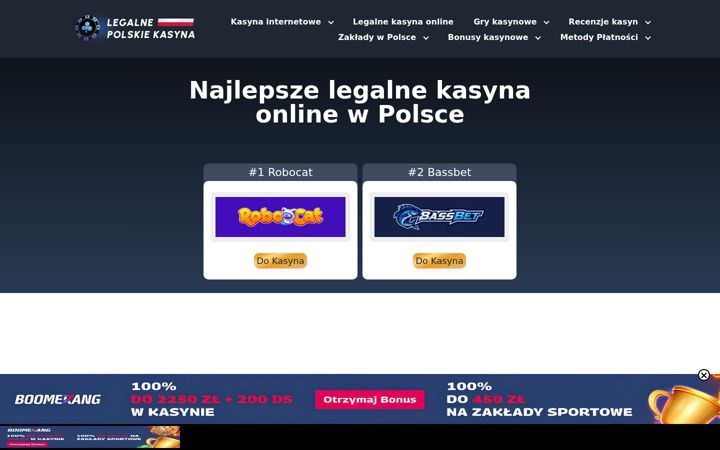 Screenshot of hotel-arena.pl