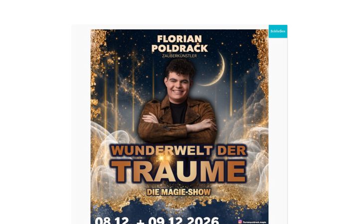Screenshot of hotel-birke-wittenberg.com