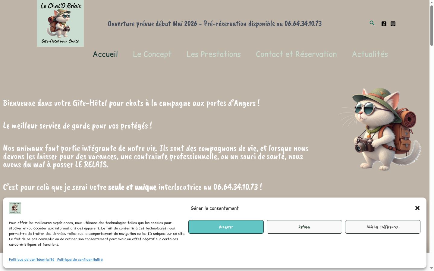 Screenshot of the consent banner shown before any interaction