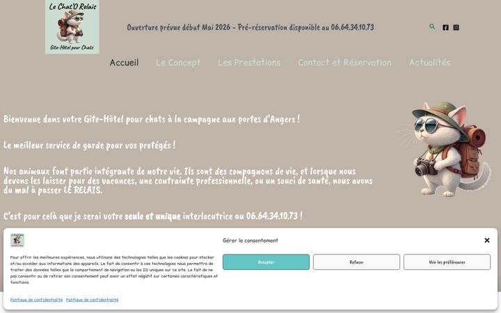 Screenshot of hotel-chats-49.com