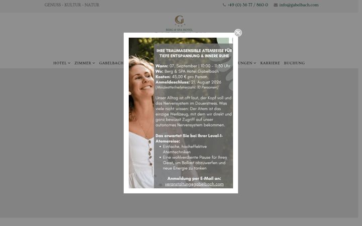 Screenshot of hotel-gabelbach.de