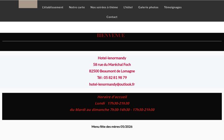 Screenshot of hotel-le-normandy.fr