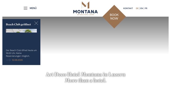Screenshot of hotel-montana.ch