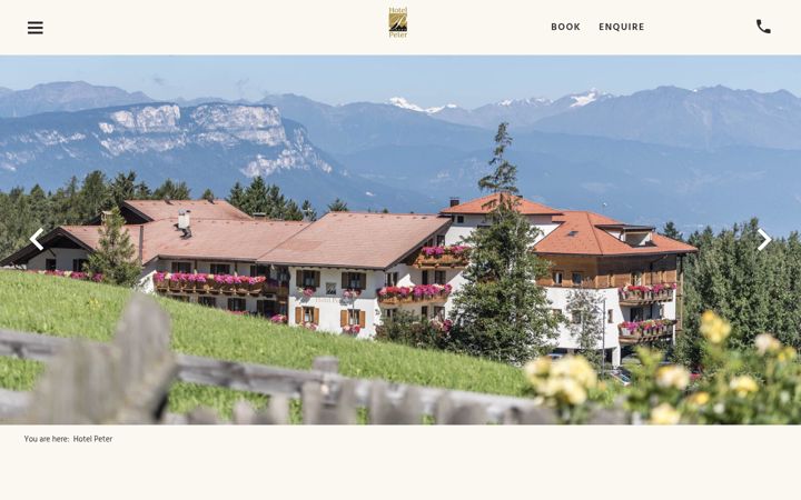 Screenshot of hotel-peter.it