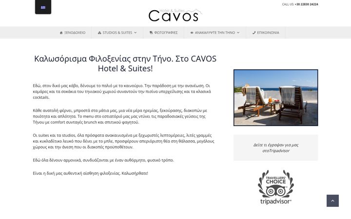 Screenshot of hotel-tinos.gr