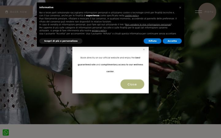 Screenshot of hotelalmaso.it