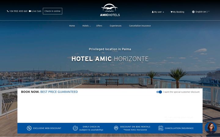 Screenshot of hotelamichorizonte.com