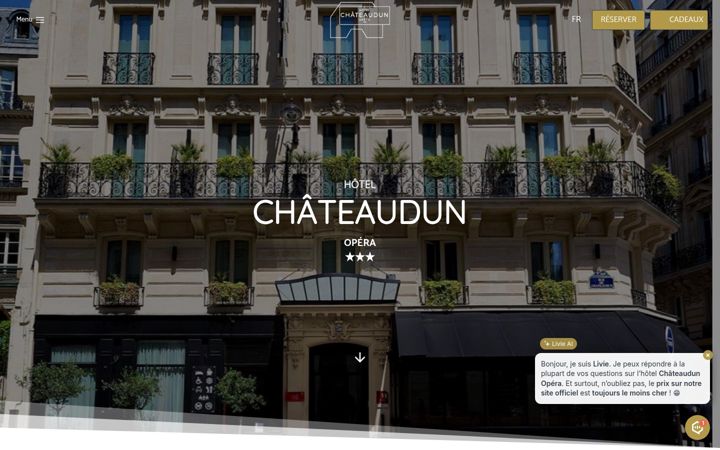 Screenshot of hotelchateaudunopera.fr